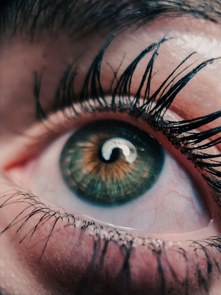 Detailed macro shot of a human eye, showcasing green iris, eyelashes, and reflection.