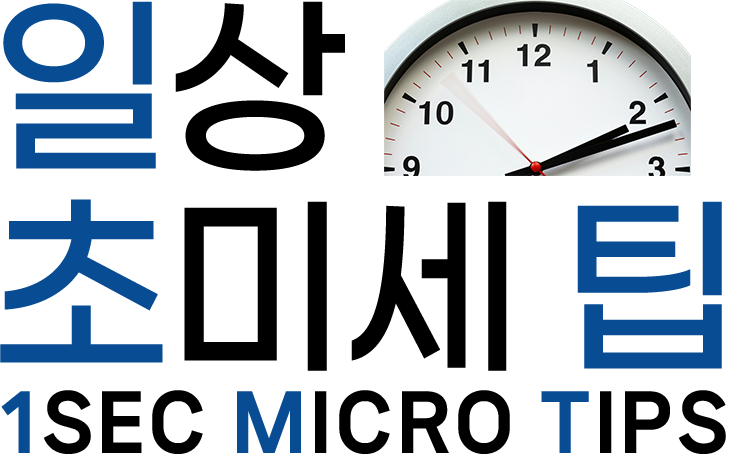 일상 초미세 팁